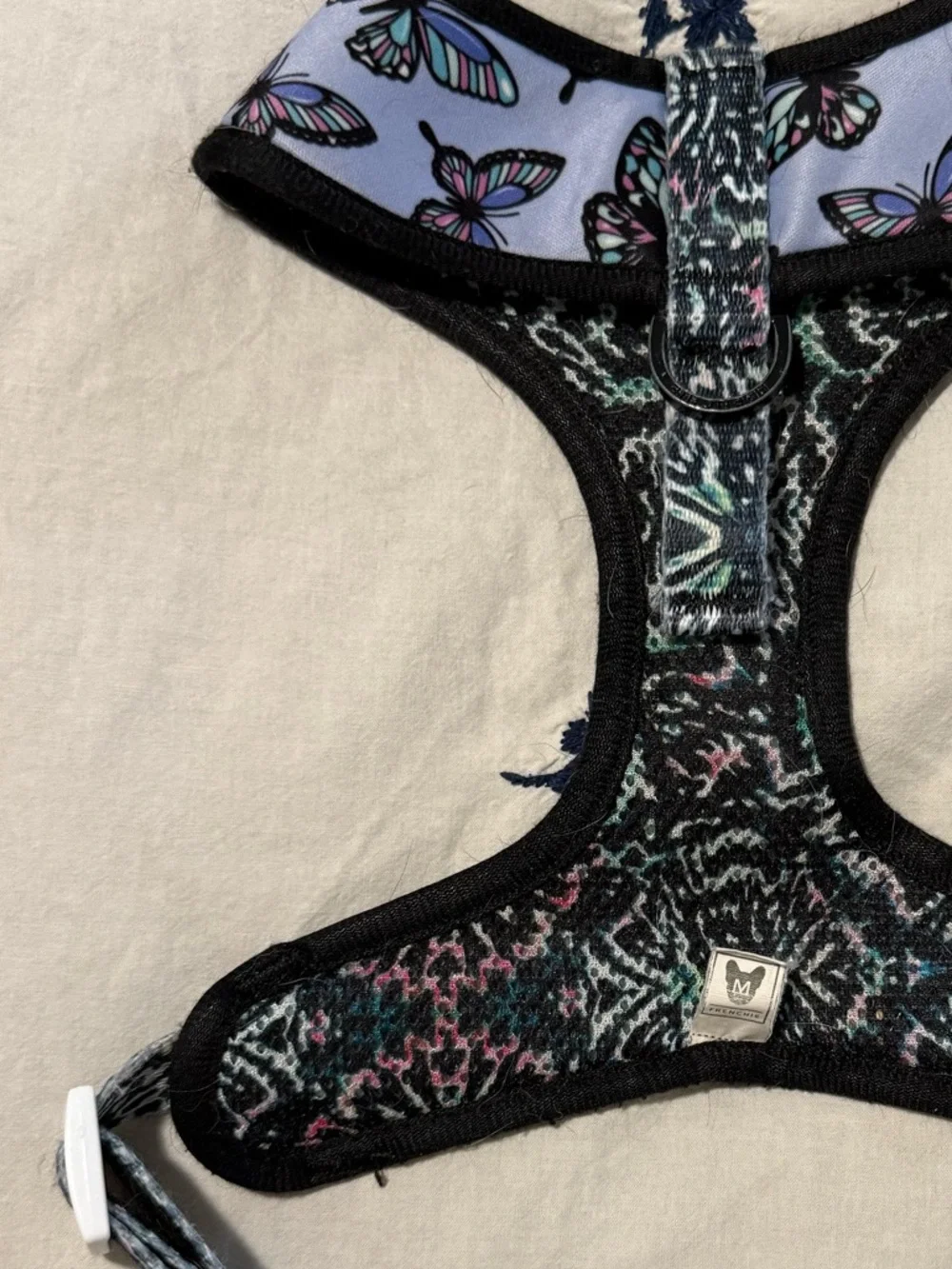 Frenchie harness butterfly Print